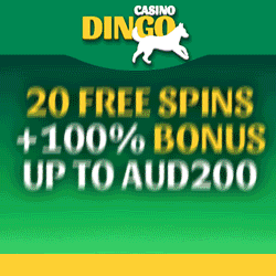 Dingo Casino AU$20 free Money Spins No Deposit